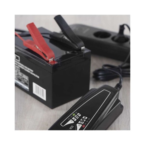 Caricabatteria Intelligente Auto Moto...