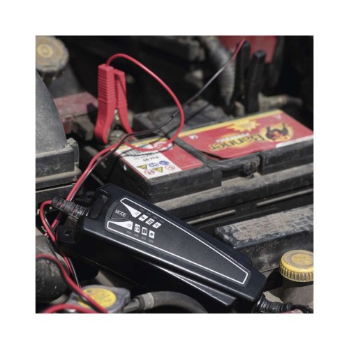 Caricabatteria Intelligente Auto Moto...