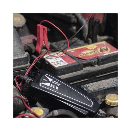 Caricabatteria Intelligente Auto Moto 6/12V 4A Desolfatazione Mantenimento | EMOS N1014