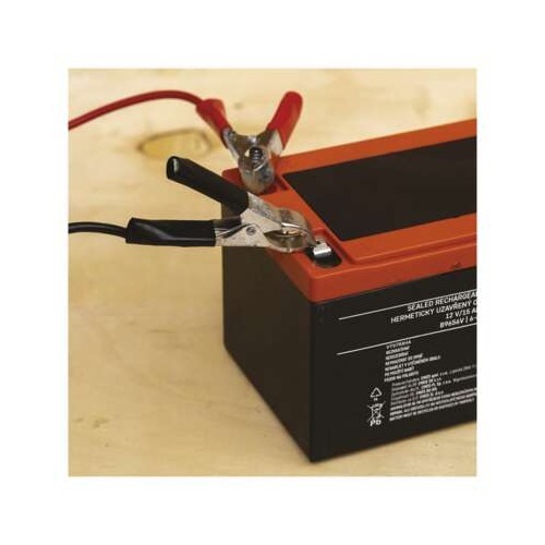 Batteria al piombo ricaricabile  12V...