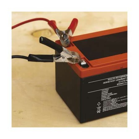 Batteria al piombo ricaricabile  12V 15AH attacco faston 6.3 EMOS B9656V