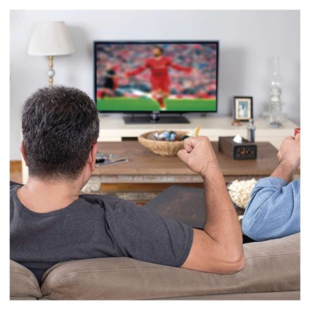 Antenna Digitale Terrestre Profi 26 Elementi Logaritmica con Filtri LTE/5G | EMOS J0669