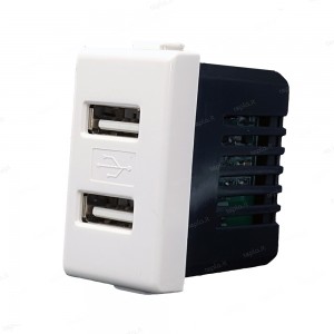 BIESSE - Presa USB doppia...