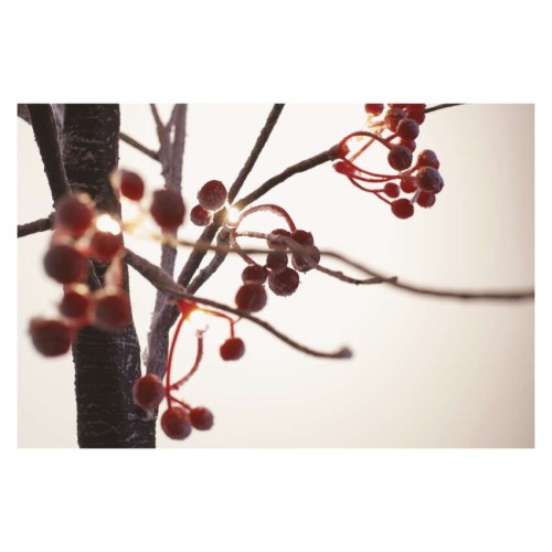 Albero LED con Bacche Rosse 120 cm...