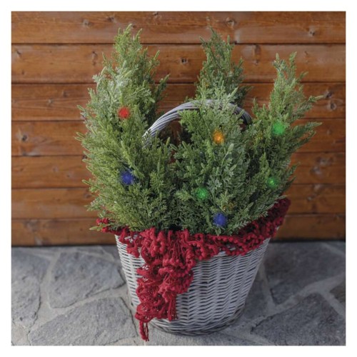 Set di 5 rametti LED solari con...