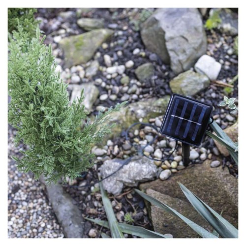 Set di 5 rametti LED solari con...