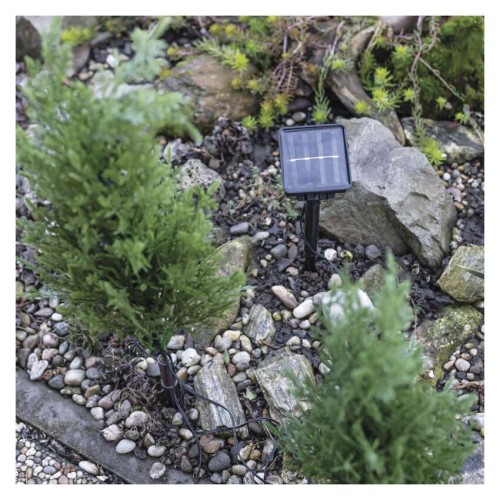 Set di 5 rametti LED solari con...