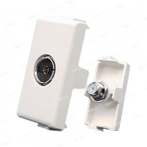 BIESSE - Presa TV femmina...