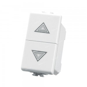 BIESSE - Doppio pulsante...