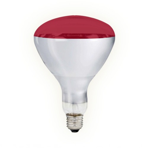 Lampadina Infrarossi R125 250W - Riscaldamento Alimenti e Terapia
