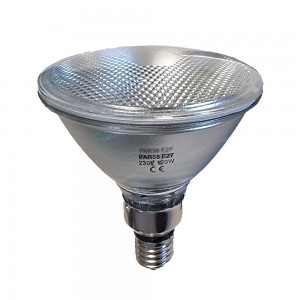 PAR38 ALOGENA E27 120W 30°...