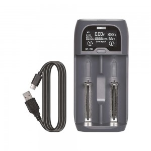 CARICABATTERIE SMART PER... 2