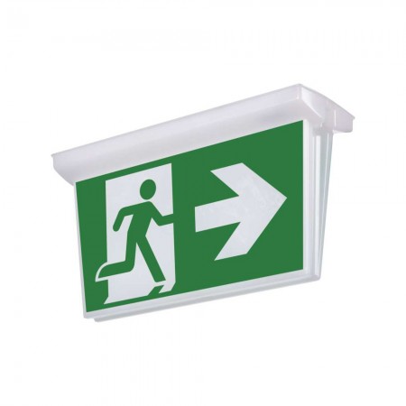 Diffusore con Pittogrammi NESSI per Lampada Emergenza ZN1110 - Emos ZN1112