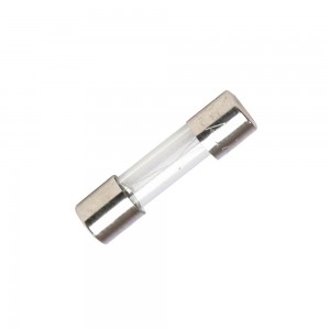 Fusibile Vetro Rapido 5x20...