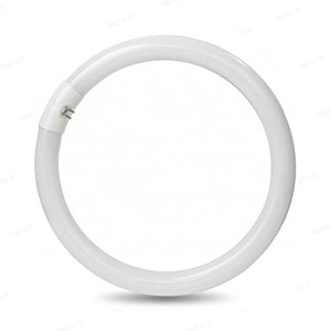 Circolina fluorescente 40W 4000K attacco G10q