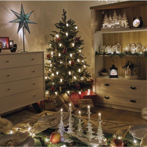 CATENA LUMINOSA 50 LED PIGNA LUCE...