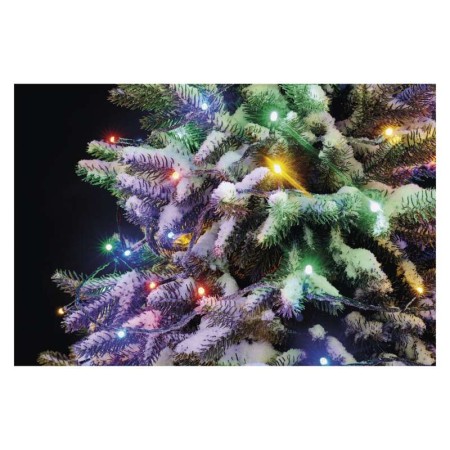 CATENA LUMINOSA 100 LED LUCE MULTICOLOR C/TIMER 10MT IP44 INTERNO ESTERNO