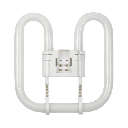 Lampada Fluorescente 2D 28W 4 Pin Luce Fredda 6500K