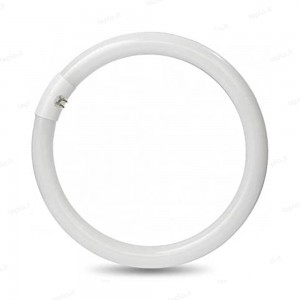 Circolina fluorescente 22W 6500K attacco G10q